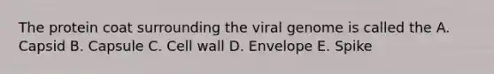 The protein coat surrounding the viral genome is called the A. Capsid B. Capsule C. Cell wall D. Envelope E. Spike