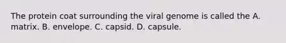 The protein coat surrounding the viral genome is called the A. matrix. B. envelope. C. capsid. D. capsule.