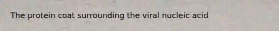 The protein coat surrounding the viral nucleic acid