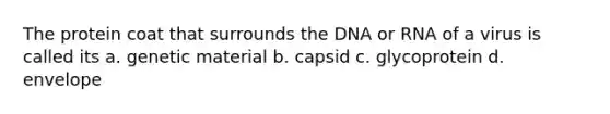 The protein coat that surrounds the DNA or RNA of a virus is called its a. genetic material b. capsid c. glycoprotein d. envelope