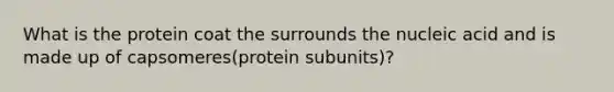 What is the protein coat the surrounds the nucleic acid and is made up of capsomeres(protein subunits)?