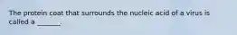 The protein coat that surrounds the nucleic acid of a virus is called a _______.