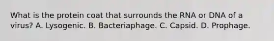 What is the protein coat that surrounds the RNA or DNA of a virus? A. Lysogenic. B. Bacteriaphage. C. Capsid. D. Prophage.