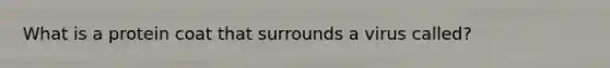 What is a protein coat that surrounds a virus called?