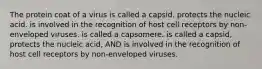 The protein coat of a virus is called a capsid. protects the nucleic acid. is involved in the recognition of host cell receptors by non-enveloped viruses. is called a capsomere. is called a capsid, protects the nucleic acid, AND is involved in the recognition of host cell receptors by non-enveloped viruses.