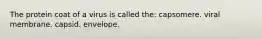 The protein coat of a virus is called the: capsomere. viral membrane. capsid. envelope.