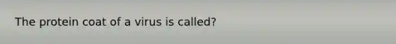 The protein coat of a virus is called?