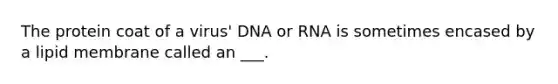 The protein coat of a virus' DNA or RNA is sometimes encased by a lipid membrane called an ___.