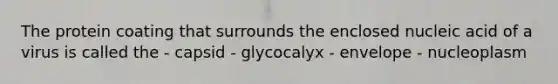 The protein coating that surrounds the enclosed nucleic acid of a virus is called the - capsid - glycocalyx - envelope - nucleoplasm