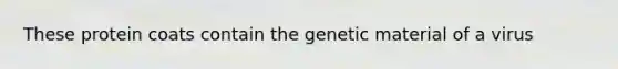 These protein coats contain the genetic material of a virus