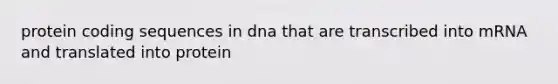 protein coding sequences in dna that are transcribed into mRNA and translated into protein