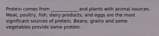 Protein comes from ____________ and plants with animal sources. Meat, poultry, fish, dairy products, and eggs are the most significant sources of protein. Beans, grains and some vegetables provide some protein.