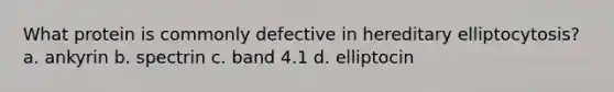 What protein is commonly defective in hereditary elliptocytosis? a. ankyrin b. spectrin c. band 4.1 d. elliptocin