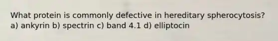 What protein is commonly defective in hereditary spherocytosis? a) ankyrin b) spectrin c) band 4.1 d) elliptocin