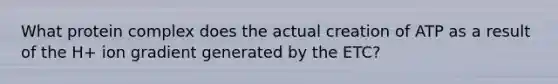 What protein complex does the actual creation of ATP as a result of the H+ ion gradient generated by the ETC?