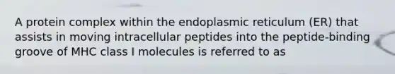 A protein complex within the endoplasmic reticulum (ER) that assists in moving intracellular peptides into the peptide-binding groove of MHC class I molecules is referred to as