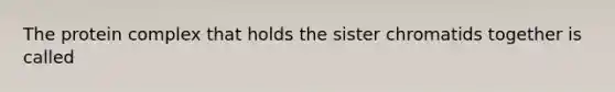 The protein complex that holds the sister chromatids together is called