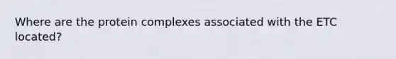 Where are the protein complexes associated with the ETC located?