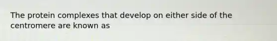 The protein complexes that develop on either side of the centromere are known as