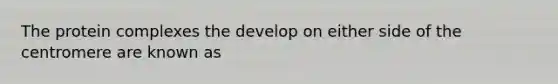The protein complexes the develop on either side of the centromere are known as
