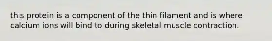 this protein is a component of the thin filament and is where calcium ions will bind to during skeletal <a href='https://www.questionai.com/knowledge/k0LBwLeEer-muscle-contraction' class='anchor-knowledge'>muscle contraction</a>.