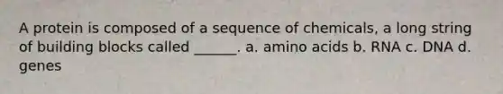 A protein is composed of a sequence of chemicals, a long string of building blocks called ______. a. amino acids b. RNA c. DNA d. genes