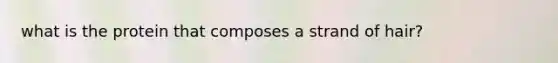 what is the protein that composes a strand of hair?