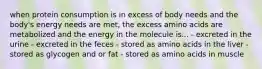 when protein consumption is in excess of body needs and the body's energy needs are met, the excess amino acids are metabolized and the energy in the molecule is... - excreted in the urine - excreted in the feces - stored as amino acids in the liver - stored as glycogen and or fat - stored as amino acids in muscle