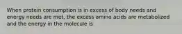 When protein consumption is in excess of body needs and energy needs are met, the excess amino acids are metabolized and the energy in the molecule is