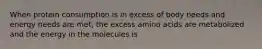 When protein consumption is in excess of body needs and energy needs are met, the excess amino acids are metabolized and the energy in the molecules is