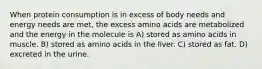 When protein consumption is in excess of body needs and energy needs are met, the excess amino acids are metabolized and the energy in the molecule is A) stored as amino acids in muscle. B) stored as amino acids in the liver. C) stored as fat. D) excreted in the urine.