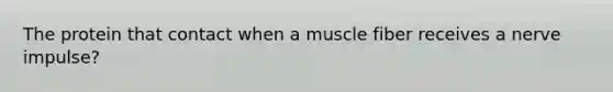 The protein that contact when a muscle fiber receives a nerve impulse?