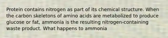 Protein contains nitrogen as part of its chemical structure. When the carbon skeletons of amino acids are metabolized to produce glucose or fat, ammonia is the resulting nitrogen-containing waste product. What happens to ammonia