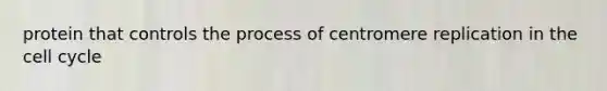 protein that controls the process of centromere replication in the cell cycle