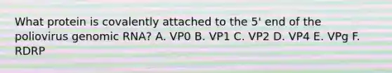 What protein is covalently attached to the 5' end of the poliovirus genomic RNA? A. VP0 B. VP1 C. VP2 D. VP4 E. VPg F. RDRP