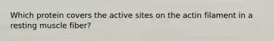 Which protein covers the active sites on the actin filament in a resting muscle fiber?