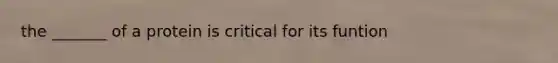 the _______ of a protein is critical for its funtion