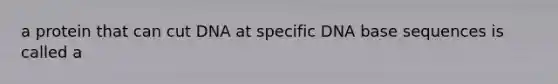 a protein that can cut DNA at specific DNA base sequences is called a