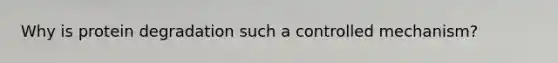 Why is protein degradation such a controlled mechanism?