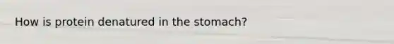 How is protein denatured in the stomach?