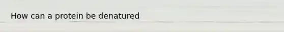 How can a protein be denatured