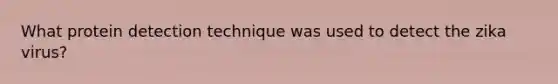 What protein detection technique was used to detect the zika virus?