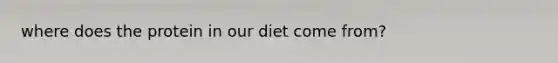 where does the protein in our diet come from?