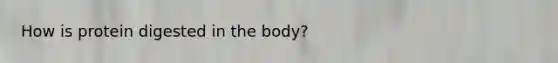 How is protein digested in the body?