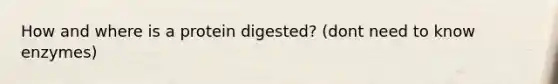 How and where is a protein digested? (dont need to know enzymes)