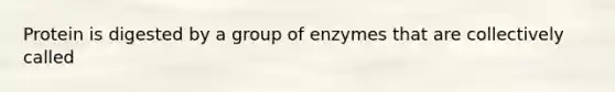 Protein is digested by a group of enzymes that are collectively called