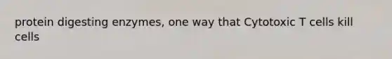 protein digesting enzymes, one way that Cytotoxic T cells kill cells