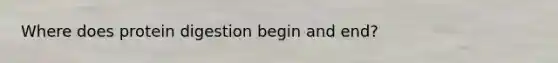 Where does protein digestion begin and end?