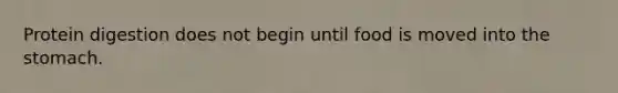 Protein digestion does not begin until food is moved into the stomach.