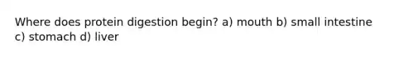 Where does protein digestion begin? a) mouth b) small intestine c) stomach d) liver